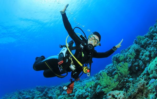 PADI Open Water Diver Course
