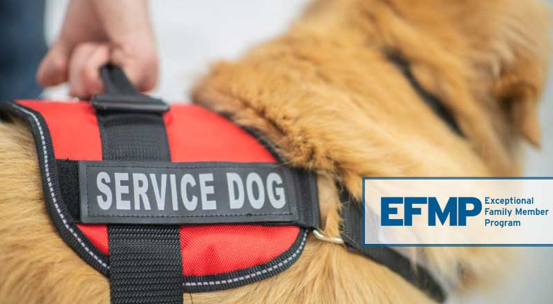 Service Animals