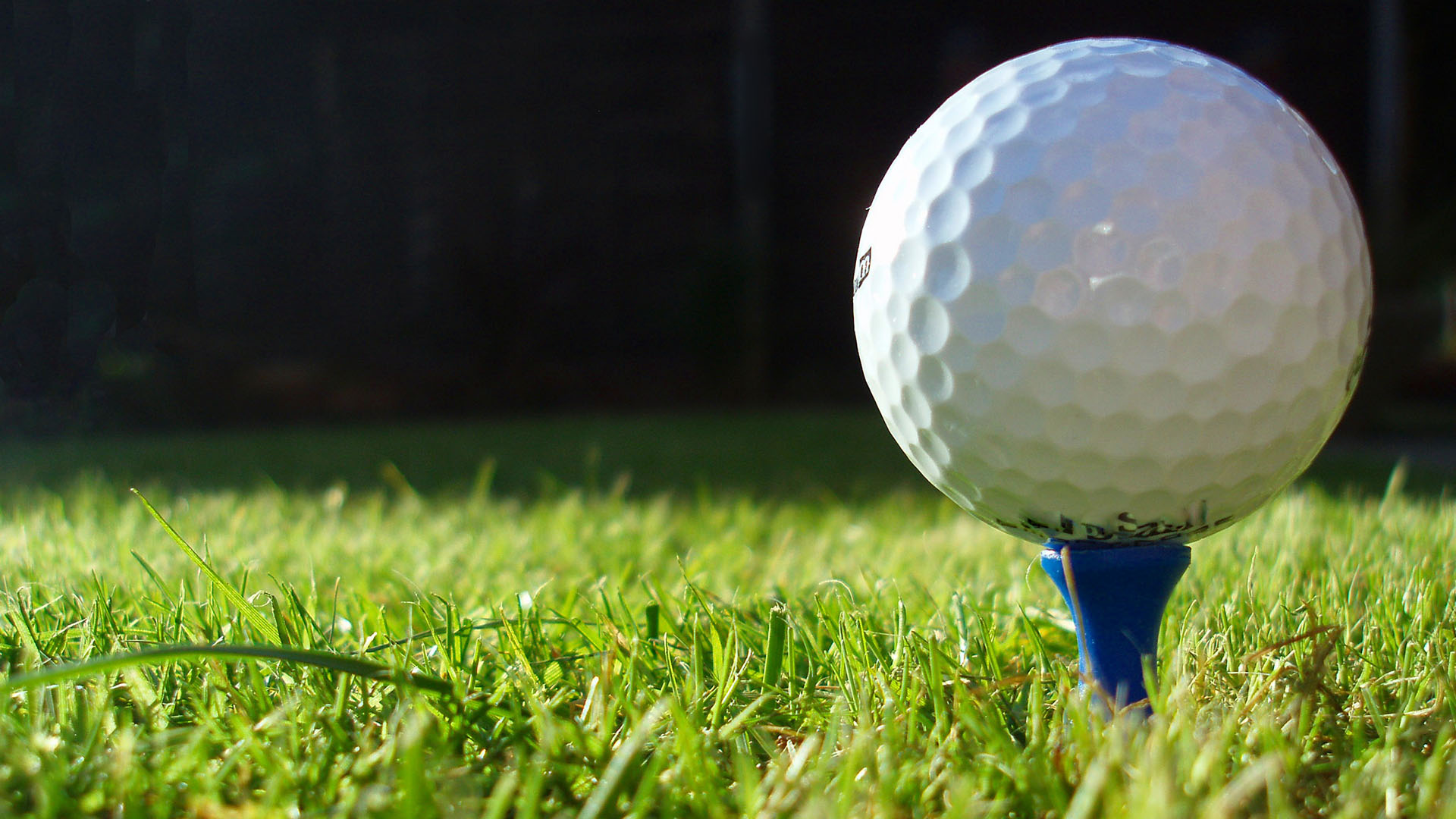 Youth Fitness (Ages 5-6)