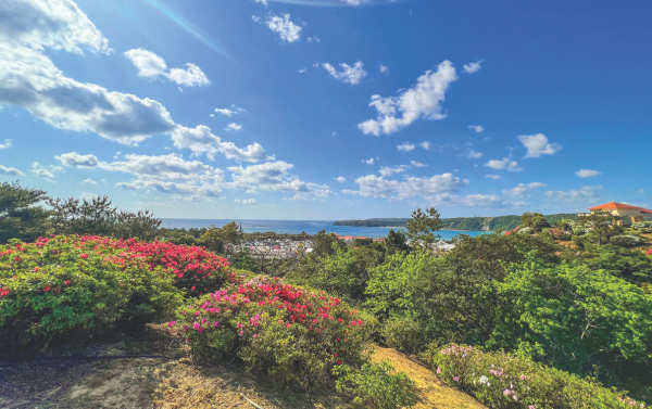 Youth Fitness (Ages 5-6)